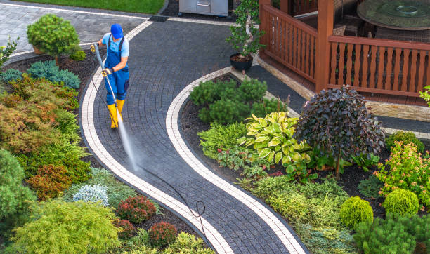 Best Power Washing Near Me  in Ingleside, TX
